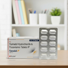  PCD Pharma franchise in Gujarat - Favion Healthcare	tablets favodol.jpg	